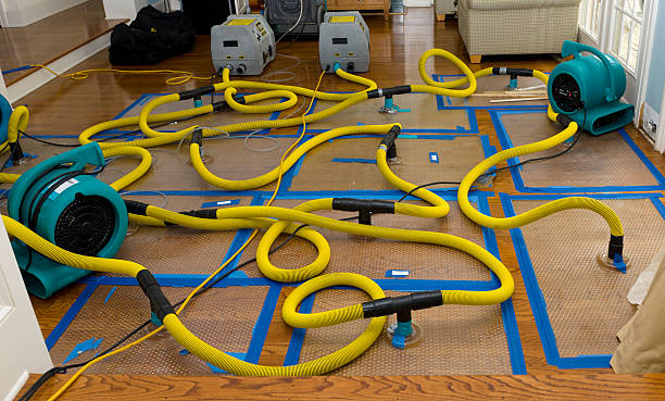 Professional Crawl Space Water Removal technician working in Gibson Island, MD